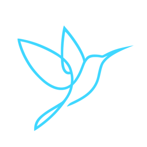 Logo officiel de Maxime Doucet, représentant un colibri bleu symbole d’équilibre énergétique, de légèreté et de transformation intérieure.
